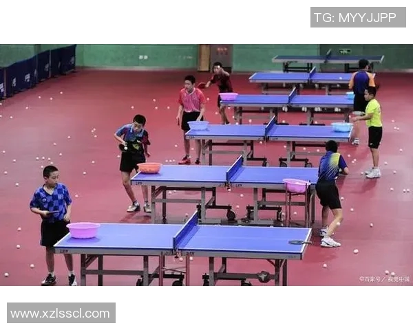 黄敏独家分享乒乓球技巧与心得助你提升球技的秘诀与经验